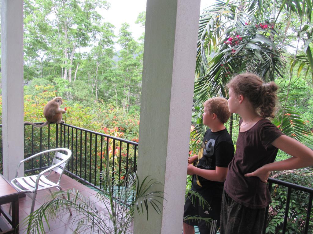 Hanthana Holiday Rooms Kandy Exterior photo